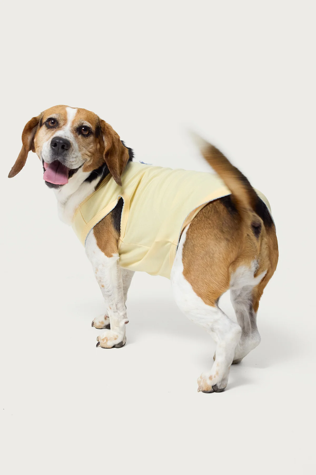 Pawfect Pet Tank Top - Image 3