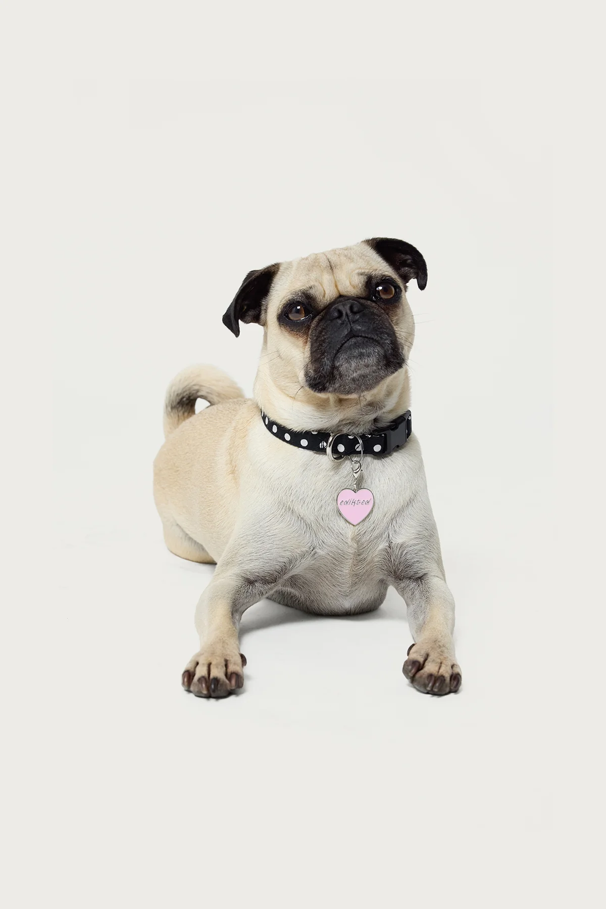 Heart Throb Collar Charm - Image 3