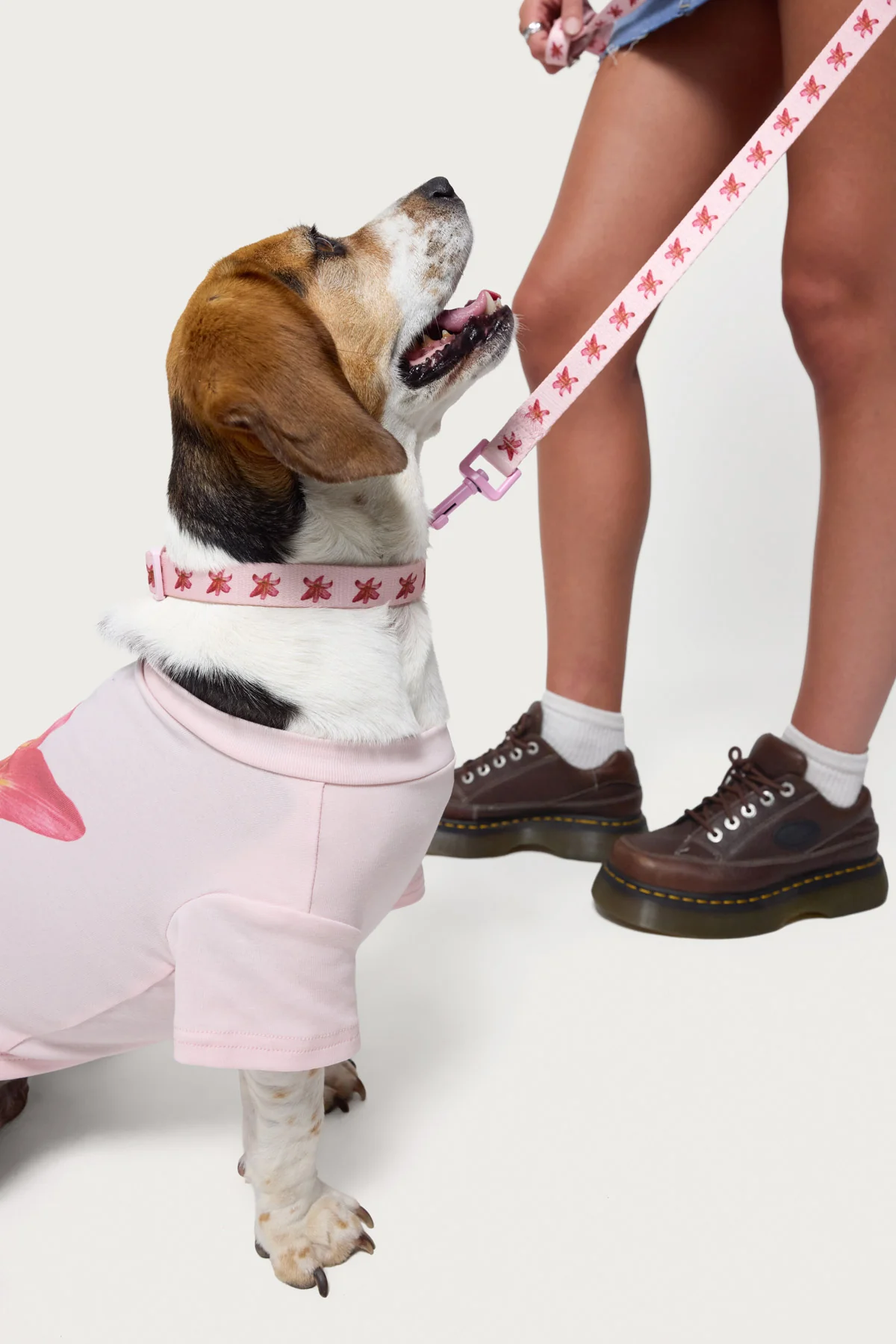Daylily Pet Leash - Image 3