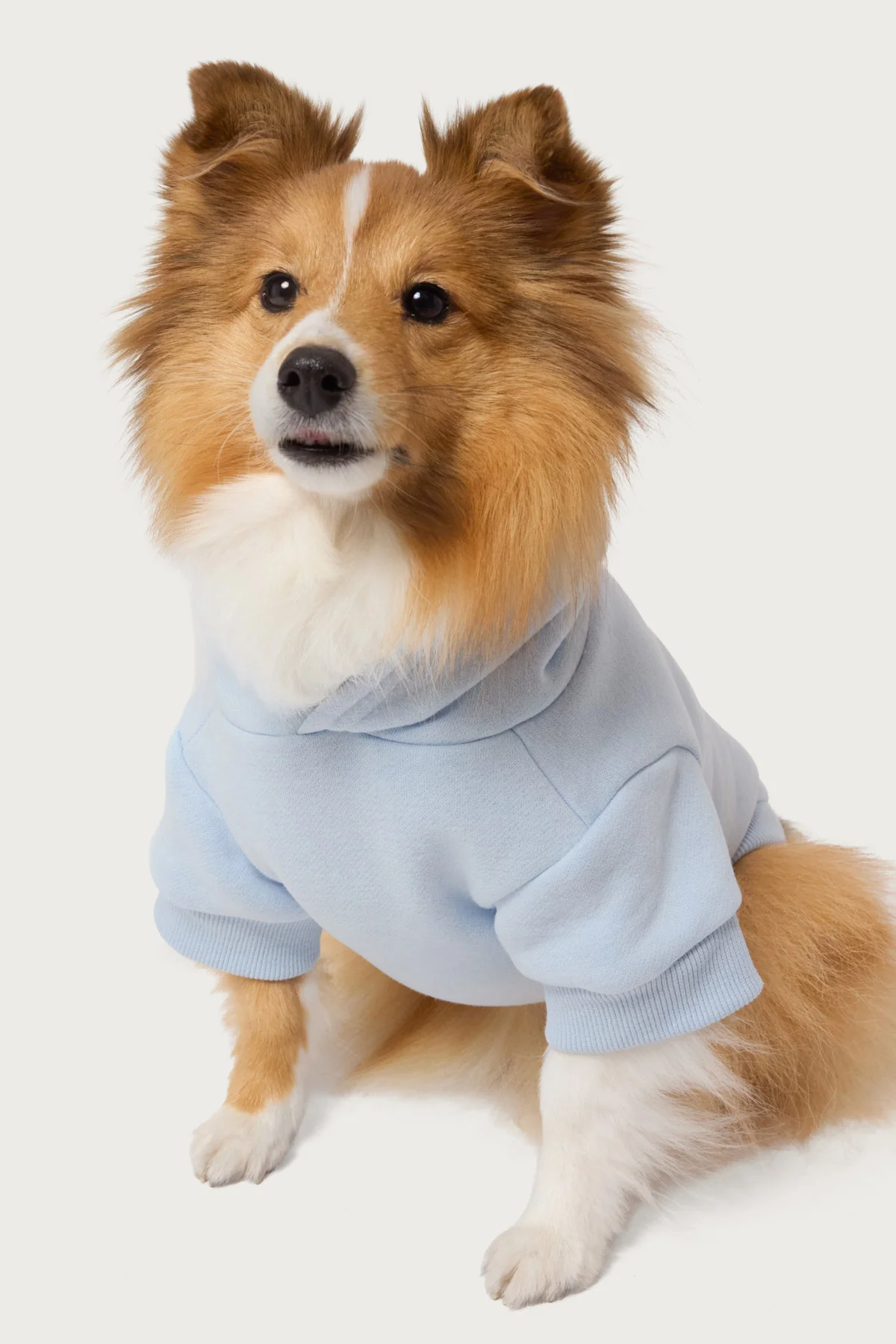 Bonney Bow Pet Hoodie - Image 2