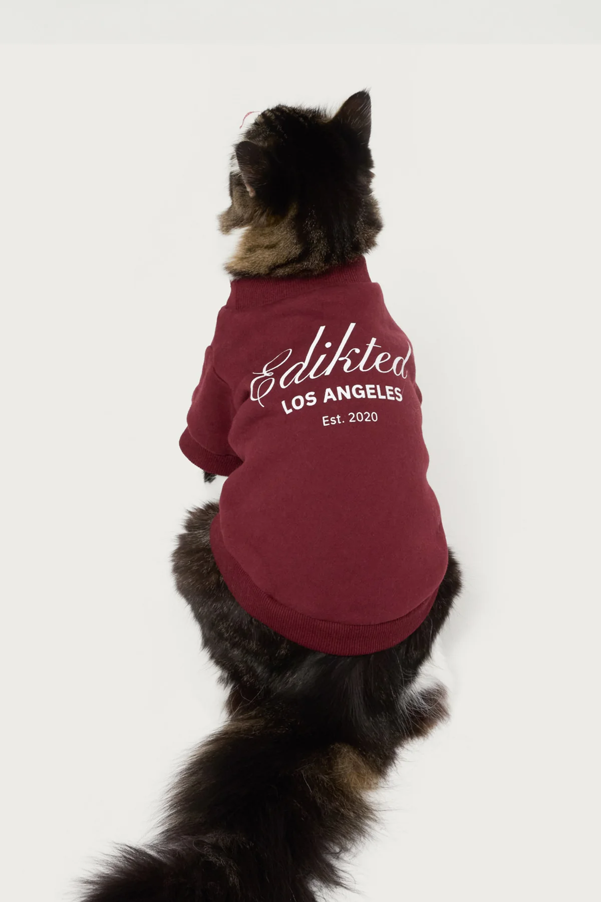Get Edikted Pet Sweatshirt - Image 3
