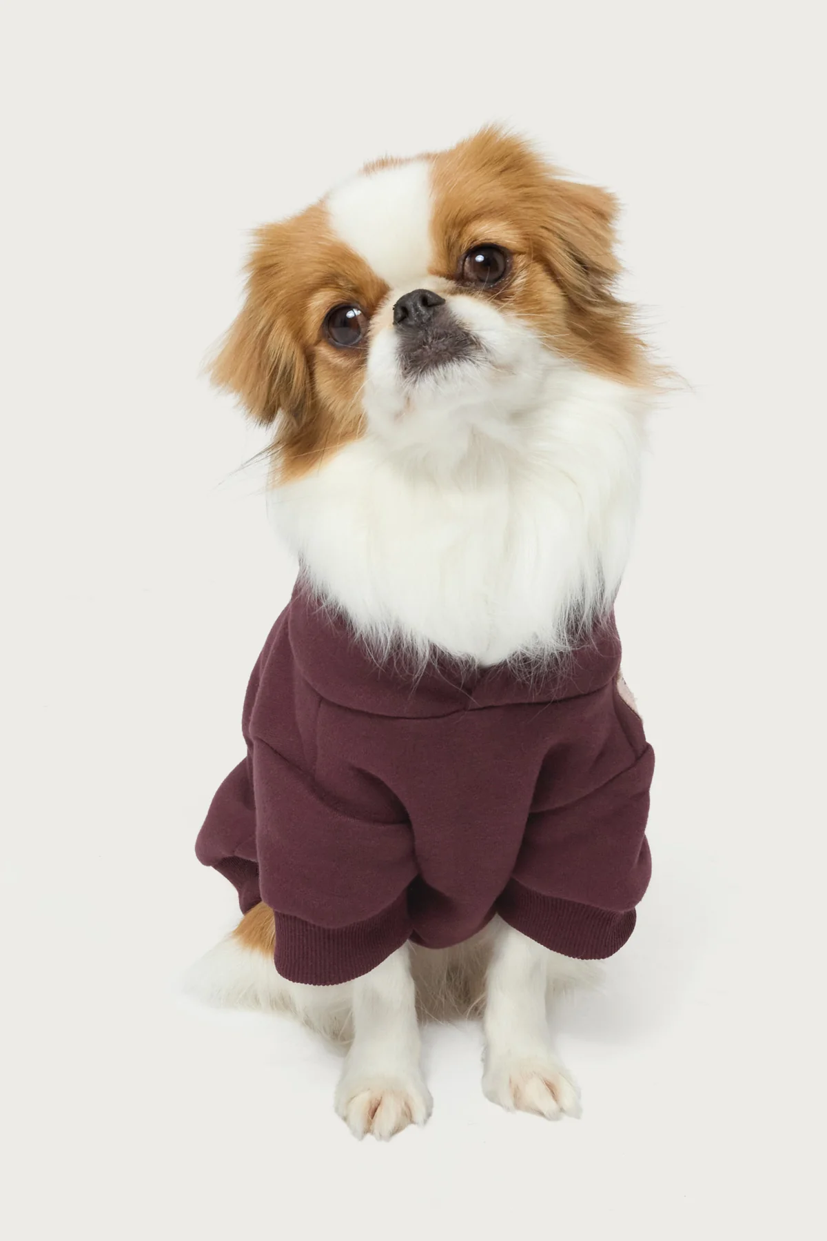 Starly Pet Hoodie - Image 3