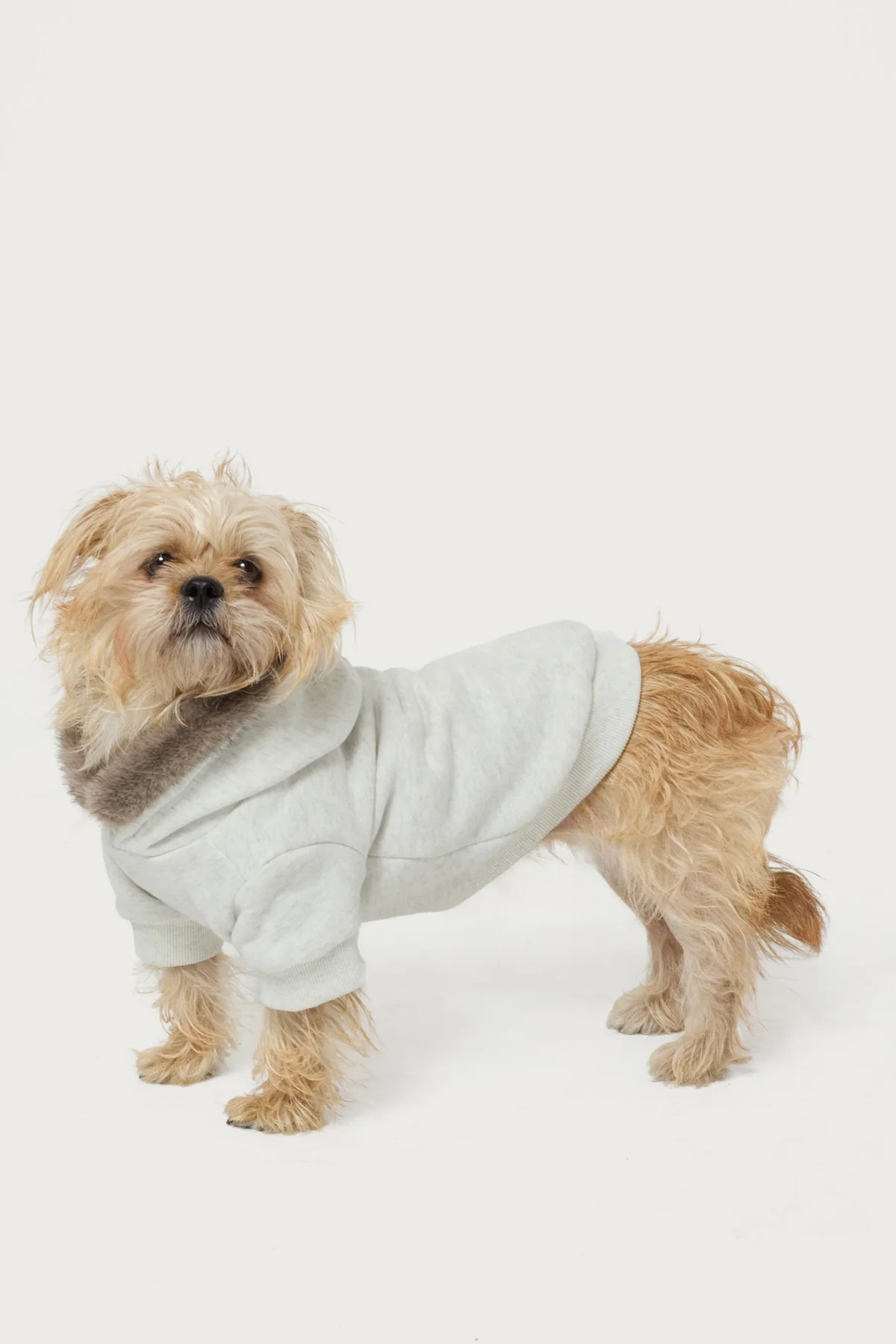 Faux Furry Pet Hoodie - Image 3