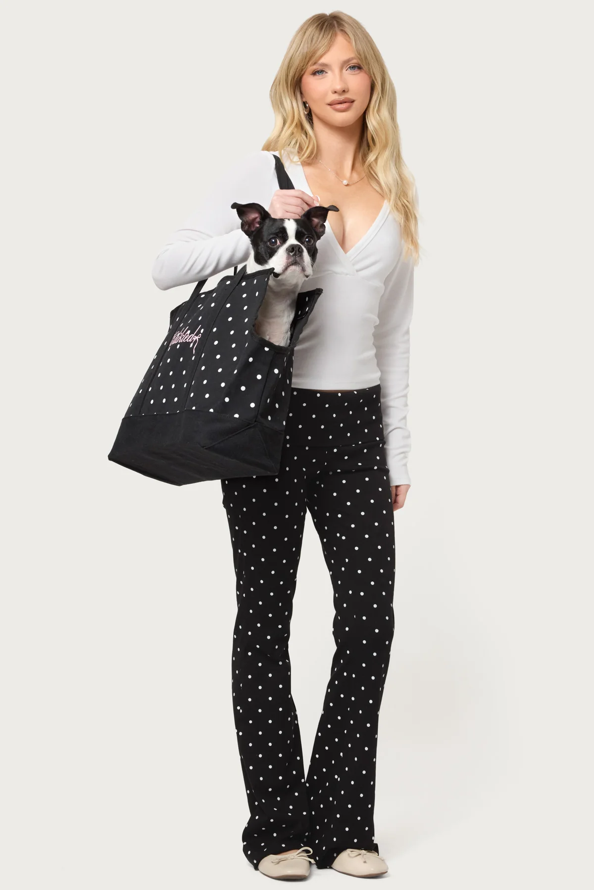 Polka Dot Pet Carrier Tote Bag - Image 3