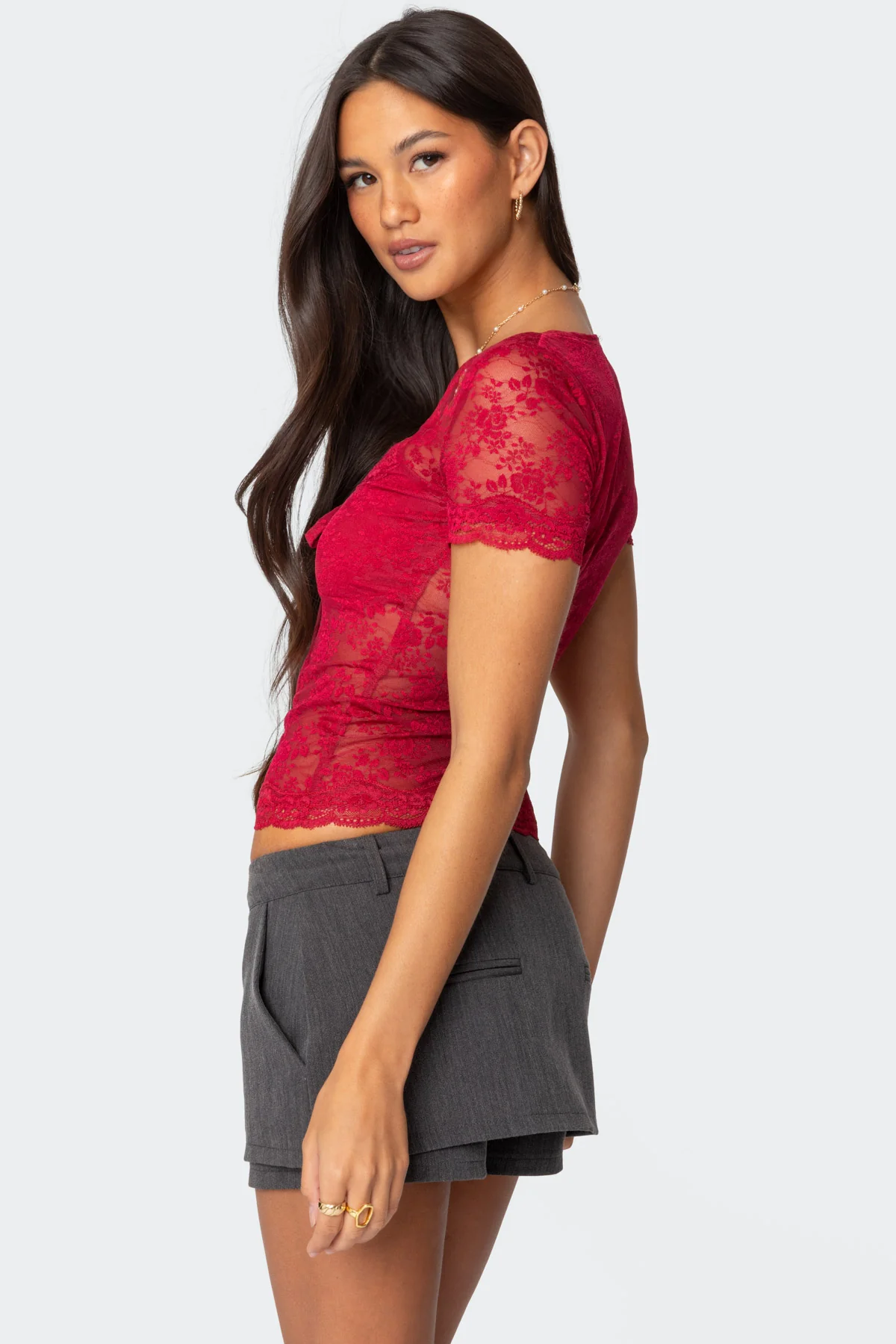 Roxana Sheer Lace Top - Image 4